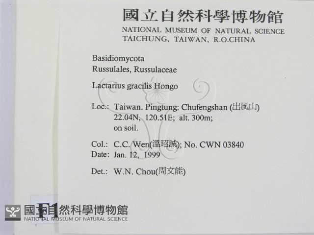 登錄號:F0012598藏品圖，第2張