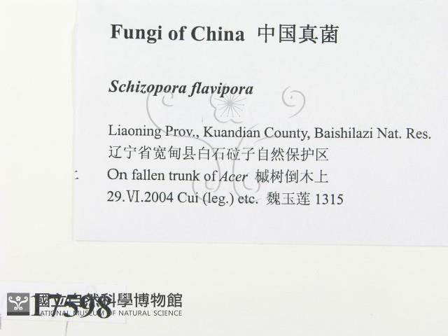 登錄號:F0017598藏品圖，第2張