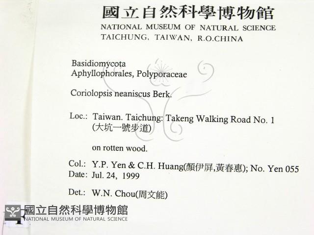 登錄號:F0015598藏品圖，第2張