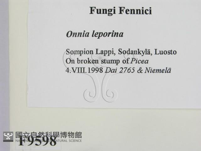 登錄號:F0009598藏品圖，第2張