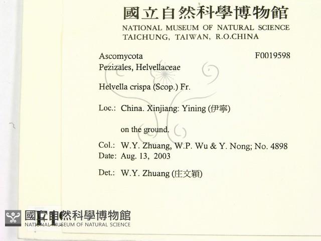 登錄號:F0019598藏品圖，第2張