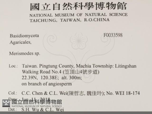 登錄號:F0033598藏品圖，第2張