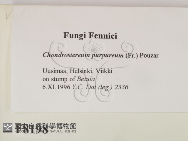 登錄號:F0008198藏品圖，第2張