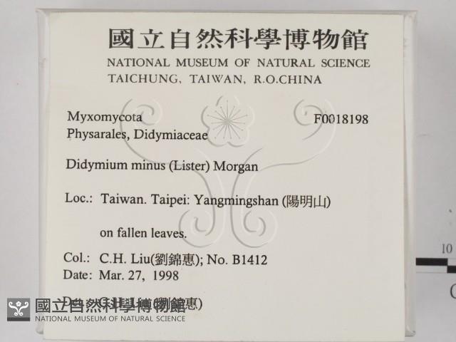 登錄號:F0018198藏品圖，第2張