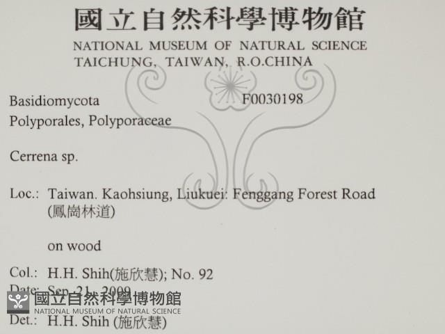 登錄號:F0030198藏品圖，第2張