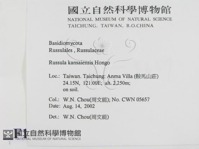 登錄號:F0016198藏品圖，第2張