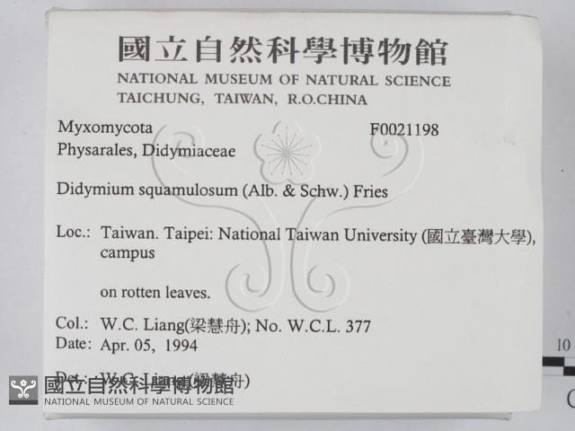 登錄號:F0021198藏品圖，第2張
