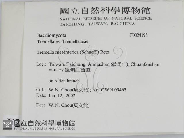 登錄號:F0024198藏品圖，第2張