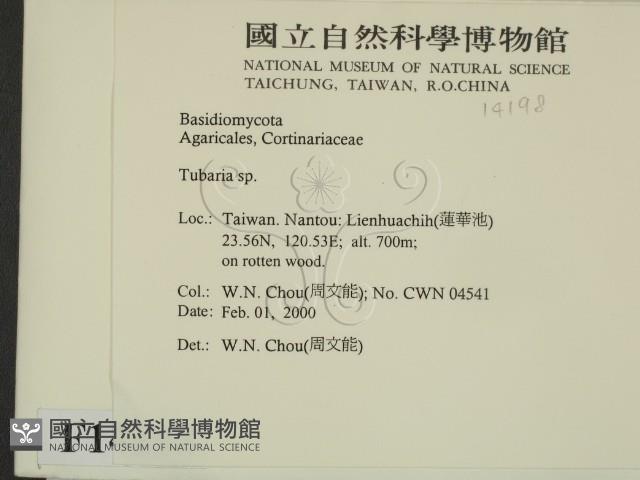 登錄號:F0014198藏品圖，第2張