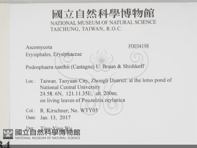 登錄號:F0034198藏品圖，第2張