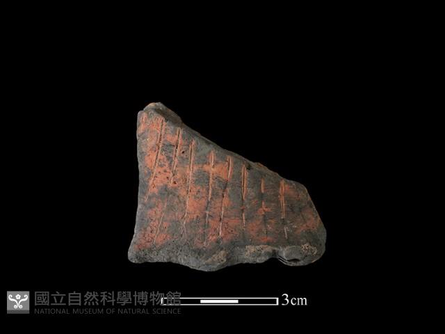 陶片藏品圖，第1張