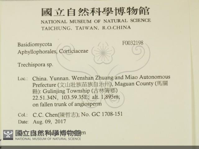 登錄號:F0032198藏品圖，第2張