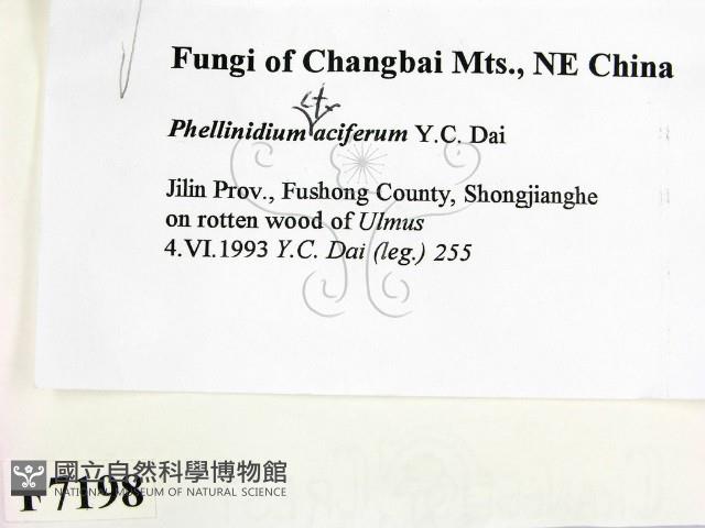 登錄號:F0007198藏品圖，第2張