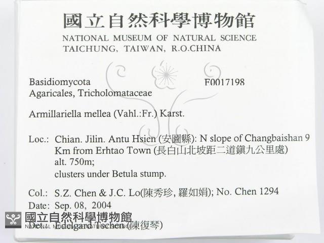 登錄號:F0017198藏品圖，第2張
