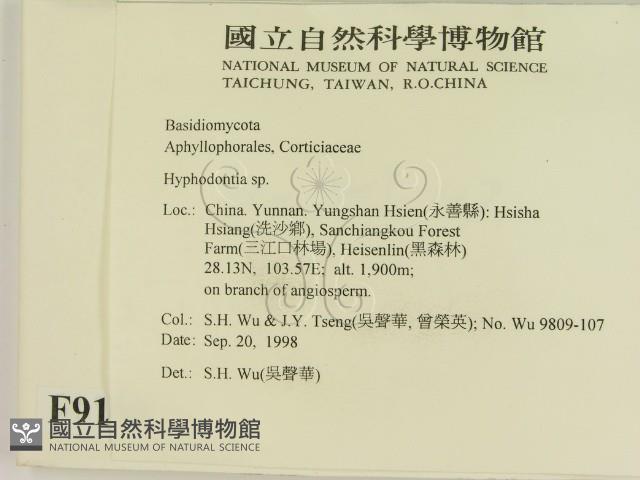 登錄號:F0009198藏品圖，第2張