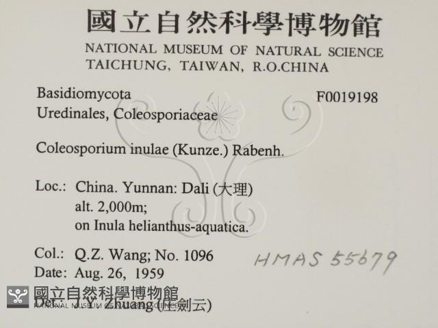 登錄號:F0019198藏品圖，第2張
