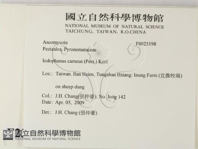 登錄號:F0023198藏品圖，第2張