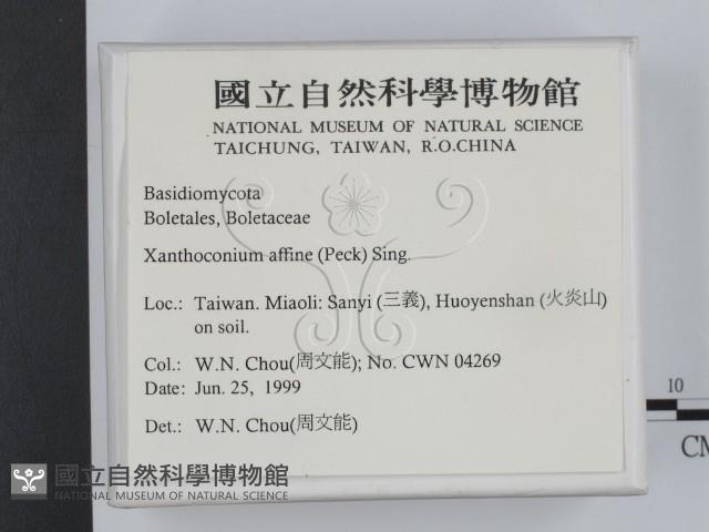 登錄號:F0013198藏品圖，第2張