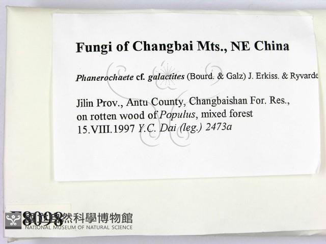 登錄號:F0008098藏品圖，第2張