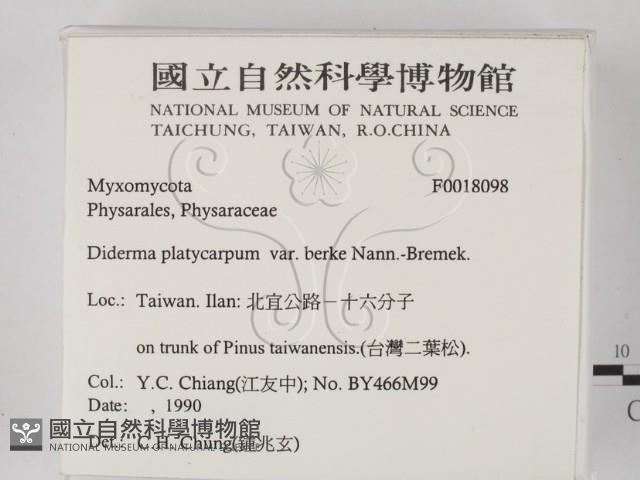 登錄號:F0018098藏品圖，第2張