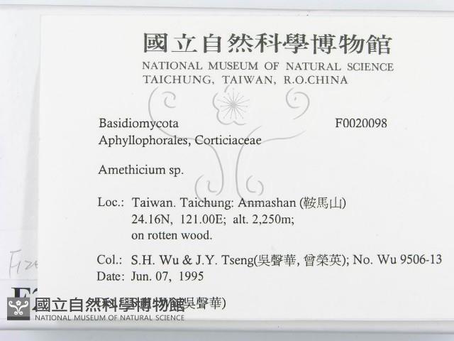 登錄號:F0020098藏品圖，第2張