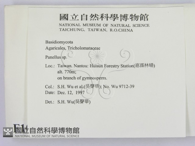 登錄號:F0010098藏品圖，第2張