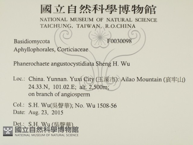 登錄號:F0030098藏品圖，第2張