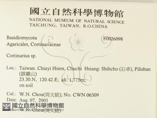 登錄號:F0026098藏品圖，第2張