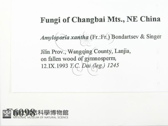 登錄號:F0006098藏品圖，第2張
