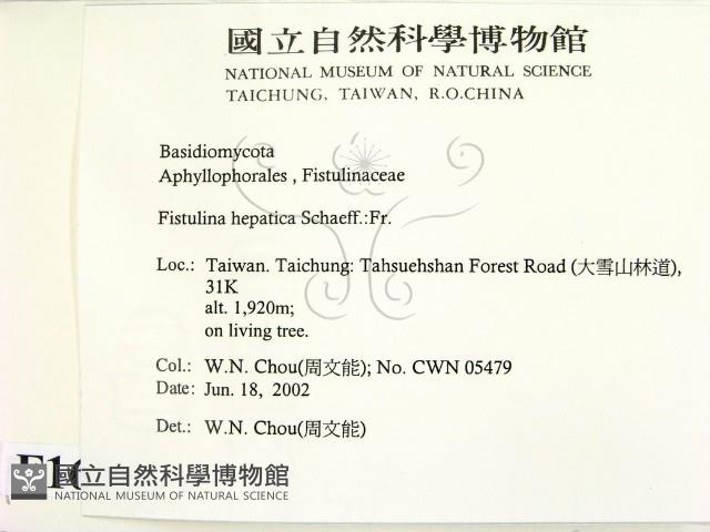 登錄號:F0016098藏品圖，第2張