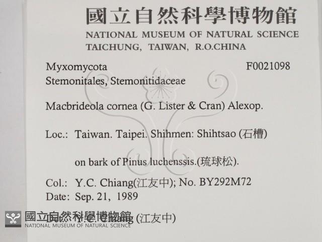 登錄號:F0021098藏品圖，第2張