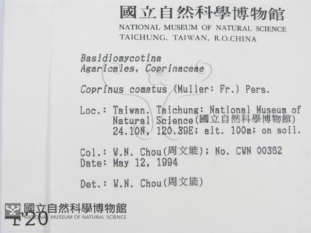 登錄號:F0002098藏品圖，第2張