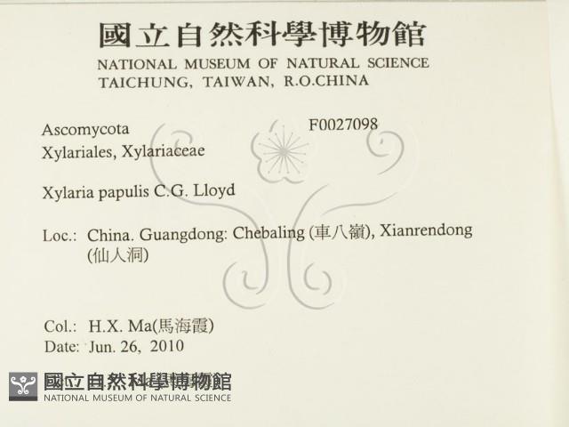 登錄號:F0027098藏品圖，第2張