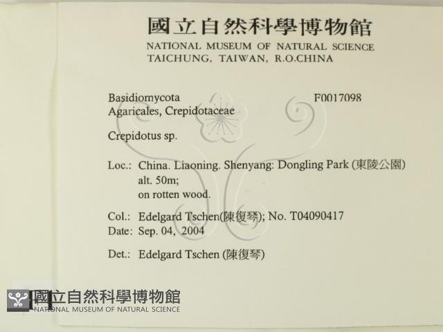 登錄號:F0017098藏品圖，第2張