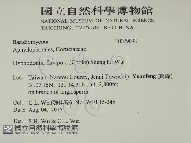 登錄號:F0029098藏品圖，第2張