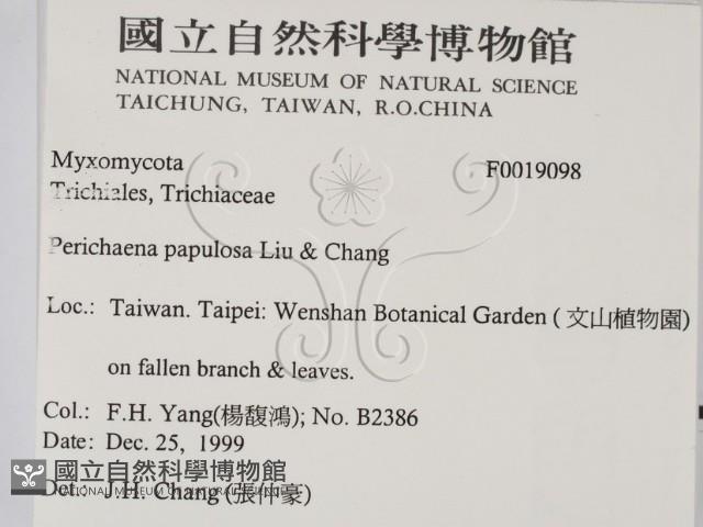 登錄號:F0019098藏品圖，第2張
