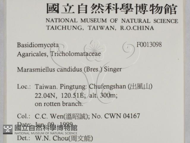 登錄號:F0013098藏品圖，第2張