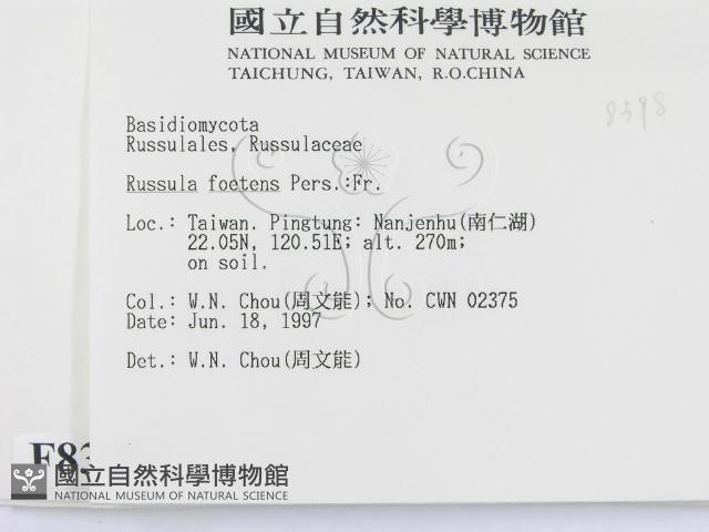 登錄號:F0008398藏品圖，第2張
