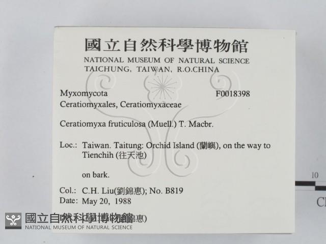 登錄號:F0018398藏品圖，第2張
