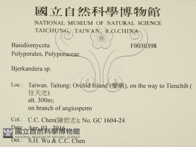 登錄號:F0030398藏品圖，第2張