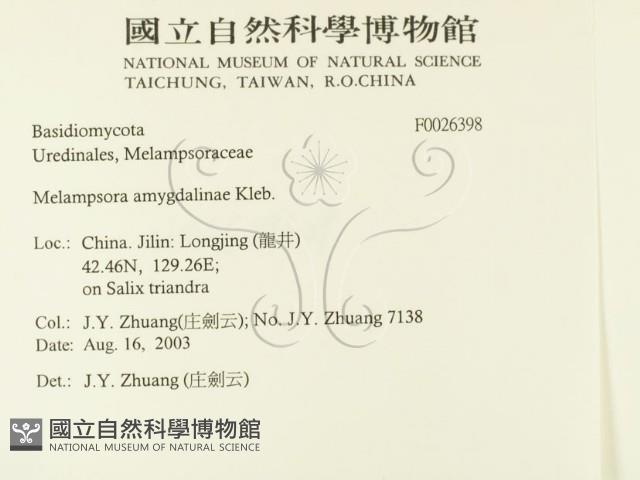 登錄號:F0026398藏品圖，第2張