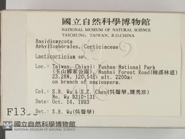 登錄號:F0001398藏品圖，第2張
