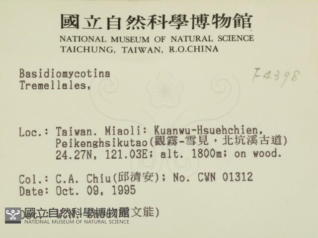 登錄號:F0004398藏品圖，第2張