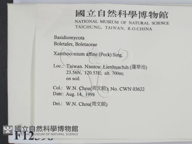 登錄號:F0012398藏品圖，第2張