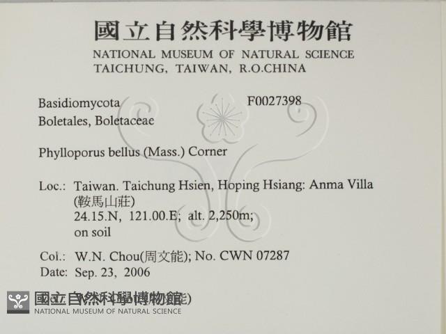 登錄號:F0027398藏品圖，第2張