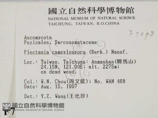 登錄號:F0007398藏品圖，第2張