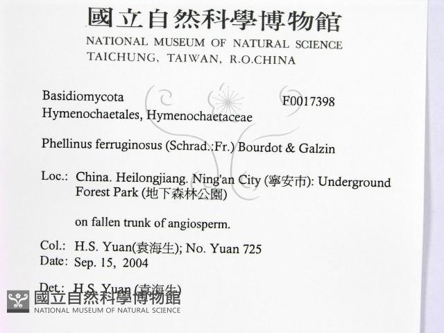 登錄號:F0017398藏品圖，第2張