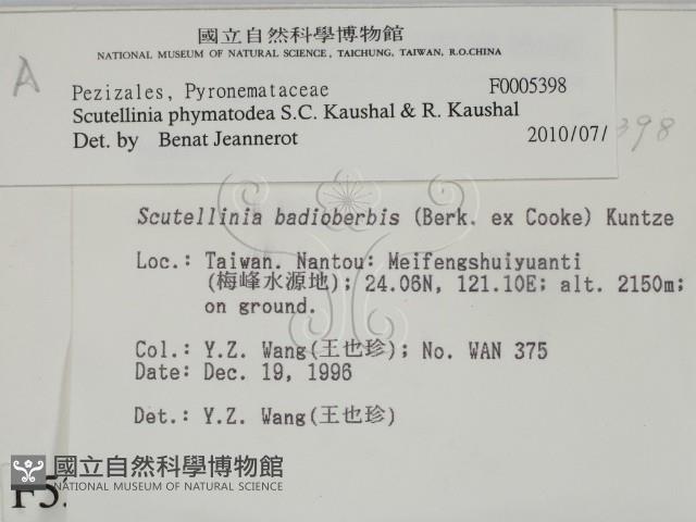 登錄號:F0005398藏品圖，第2張