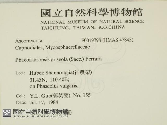 登錄號:F0019398藏品圖，第2張