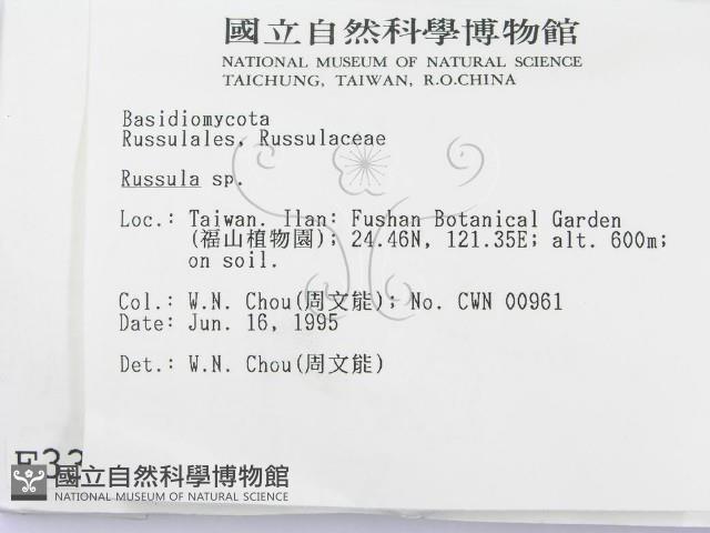 登錄號:F0003398藏品圖，第2張